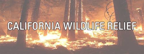 Banner Image for California Wildlife Relief Tzedakah Drive